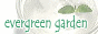evergreen garden