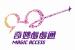 年間パスポート(Magic Access)